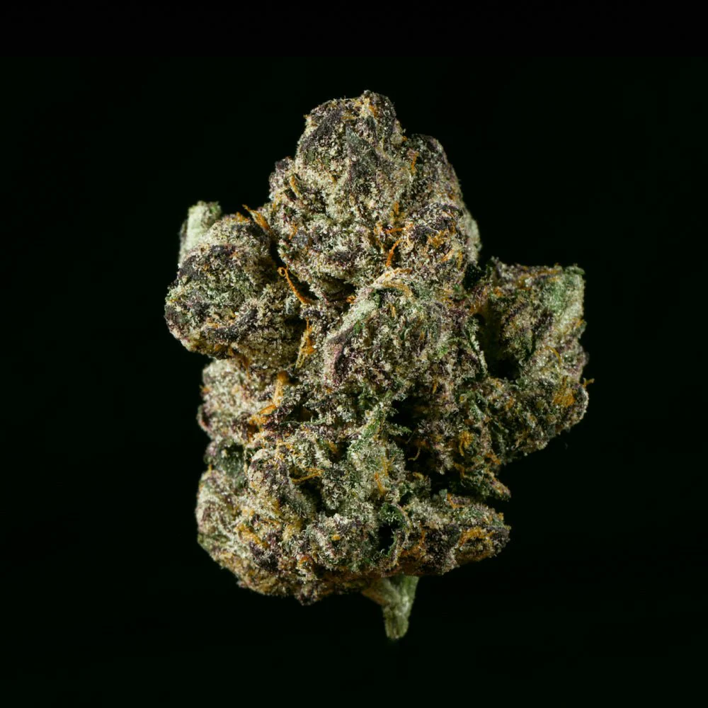 Rainbow Sherbert THCA Flower - Image 4