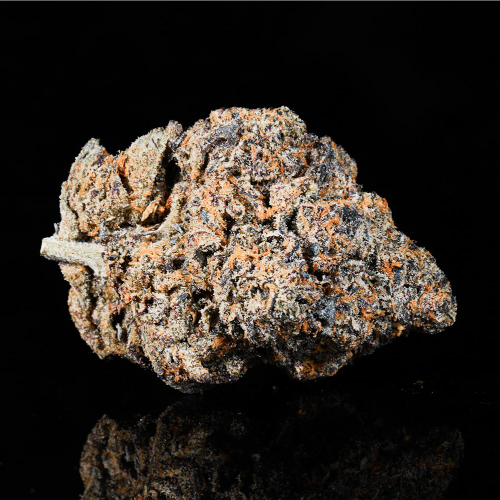 Sherbanger THCA Flower - Image 3