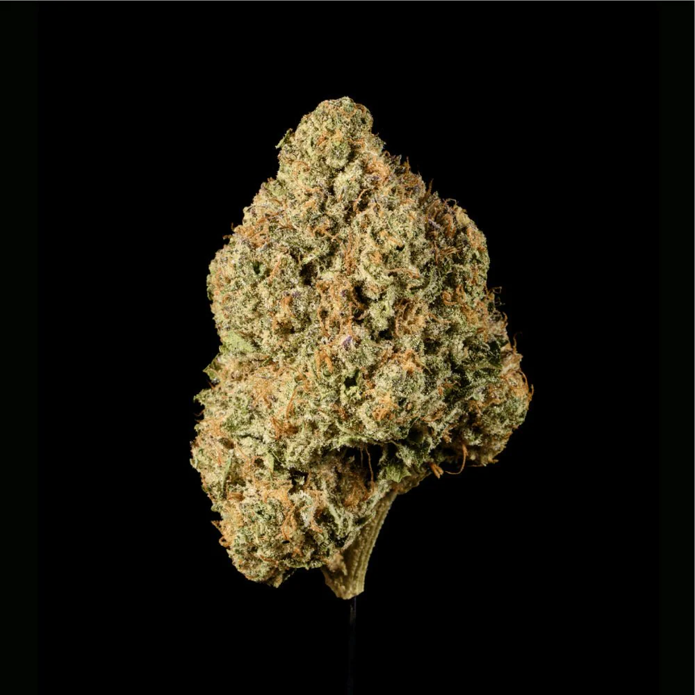 Tear Gas THCA Flower - Image 6