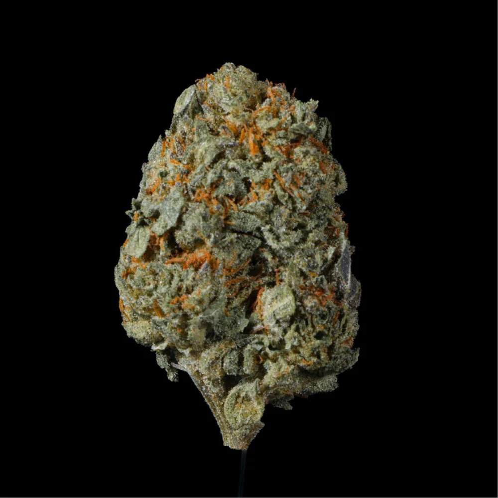 Thin Mint Cookies THCA Flower - Image 5