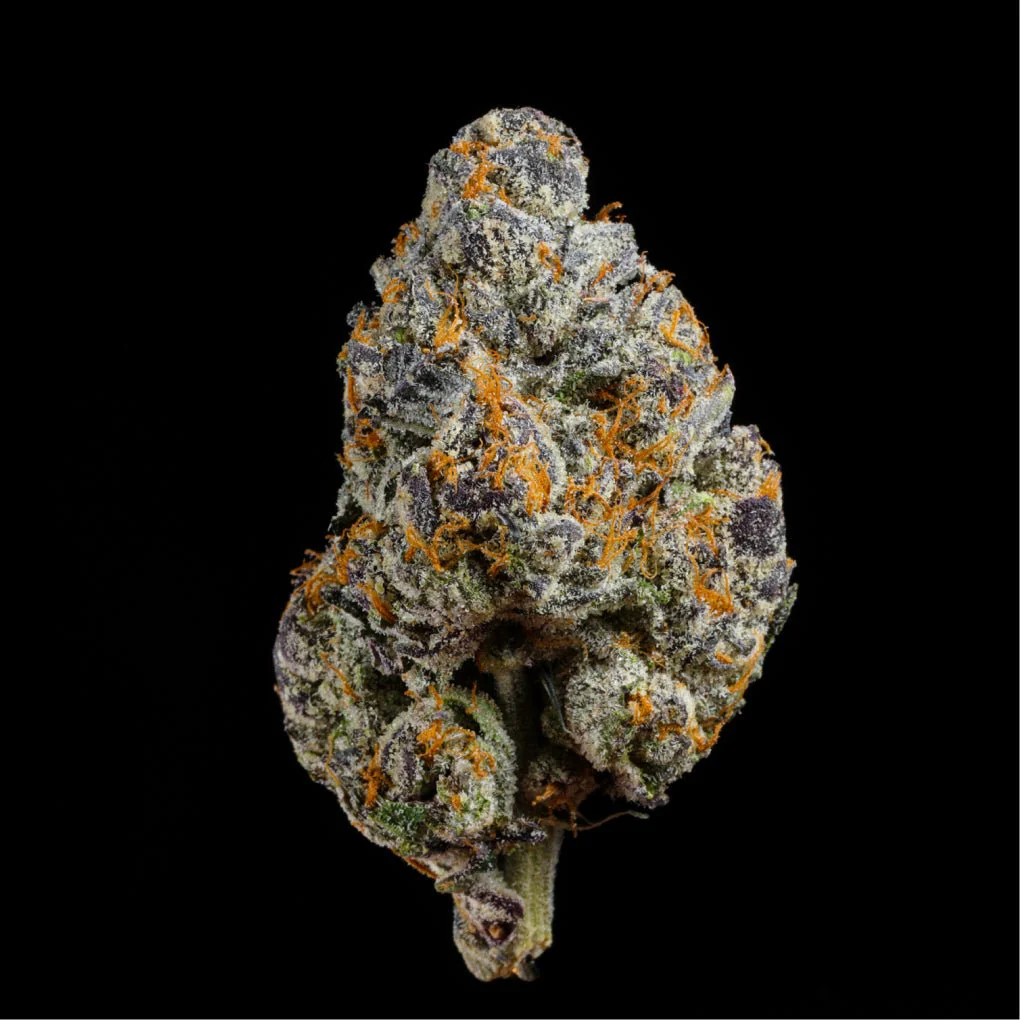 Tiger Candy THCA Flower - Image 3