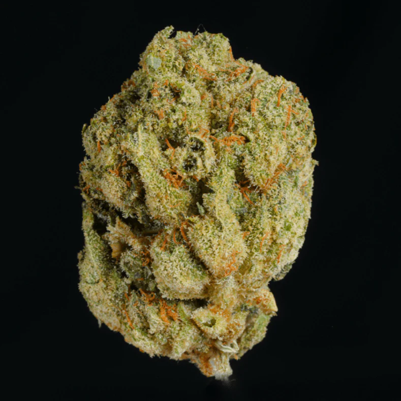 Violet Fog THCA Flower - Image 3