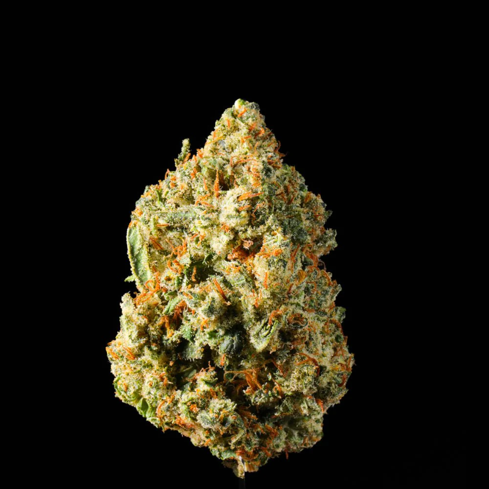 Wedding Pie THCA Flower - Image 4