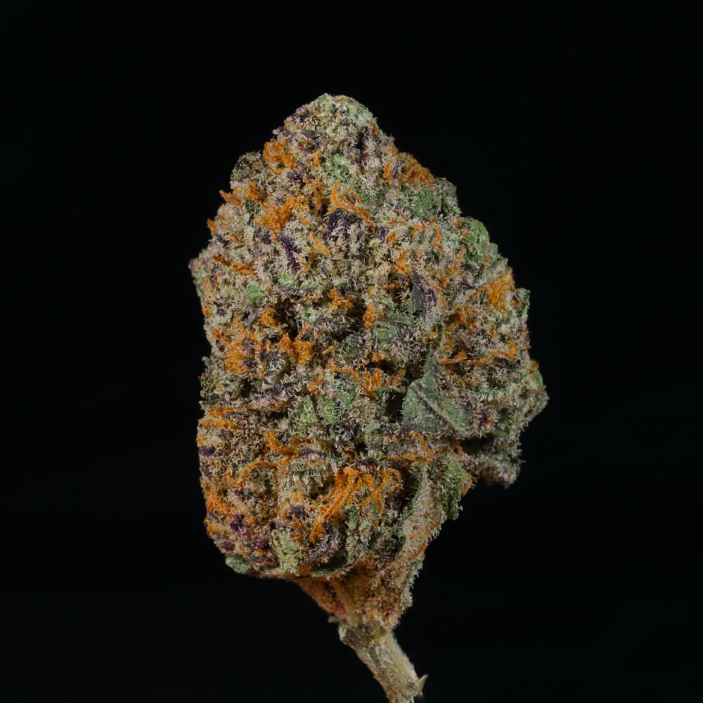 White Truffle THCA Flower - Image 3