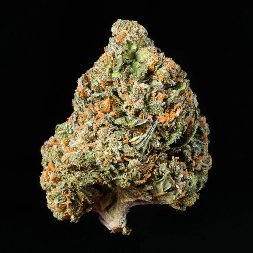 White Truffle THCA Flower - Image 4